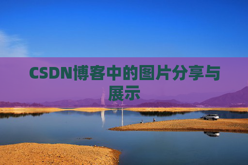 CSDN博客中的图片分享与展示